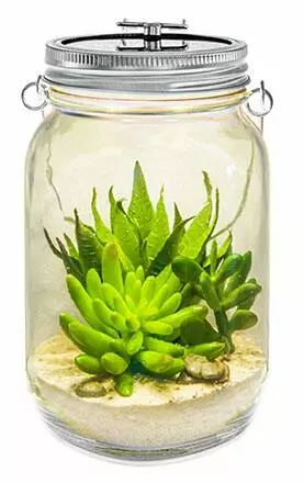 Lurch Solarglas Catch The Sun - Image 3